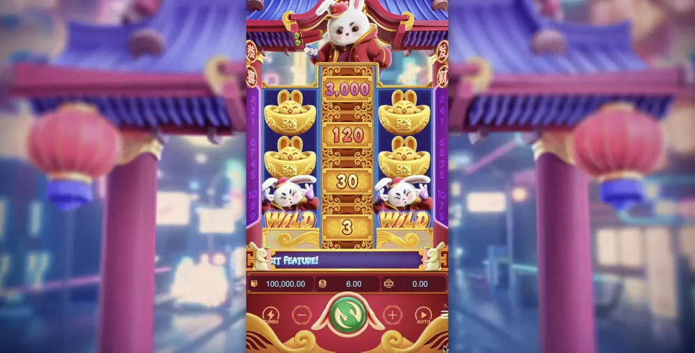 Fortune Rabbit